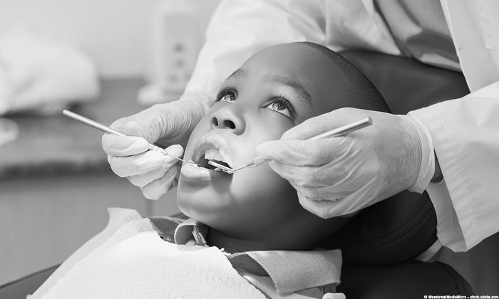 blog dental tissue engineering